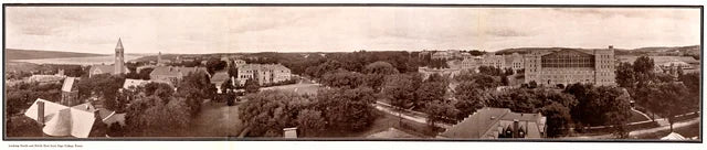 1919