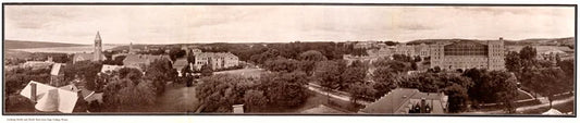1919